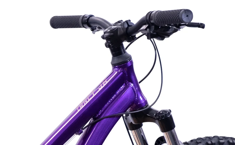 Reid Tract Jr 24 — Kids Bike