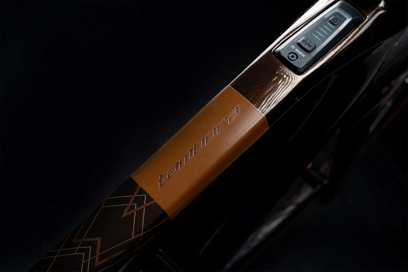 Polygon Tambora AE-N - Carbon Gravel eBike