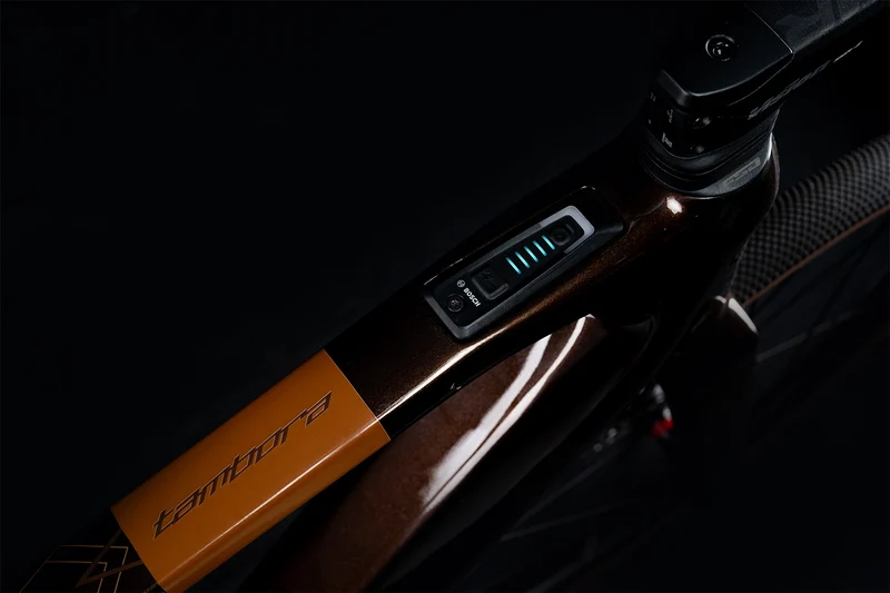 Polygon Tambora AE-N - Carbon Gravel eBike