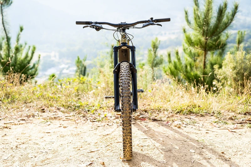 Polygon Siskiu T7E - E-Mountain Bike