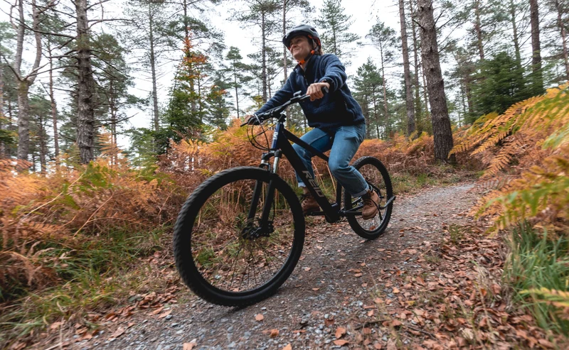 Reid Let's MTB — eMountain Bike