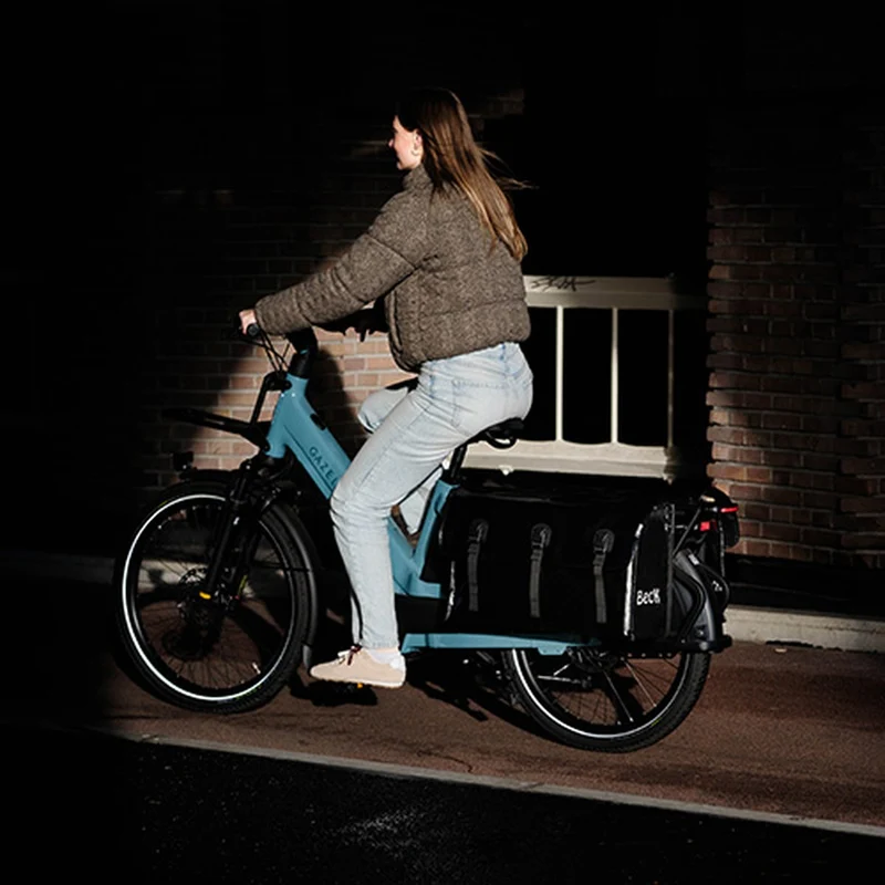 Sacoche double vélo longtail Beck Looong