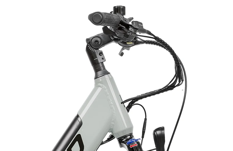 Reid Quest 1 ST — Urban Commuter eBike