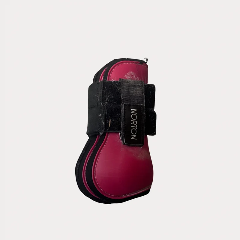 Protection poney Bordeaux