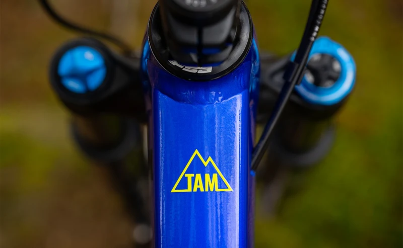 Marin TAM XR - Lightweight XC/DC Mountain Bike