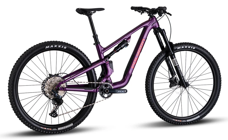 Polygon Collosus T6 – All-Mountain Bike
