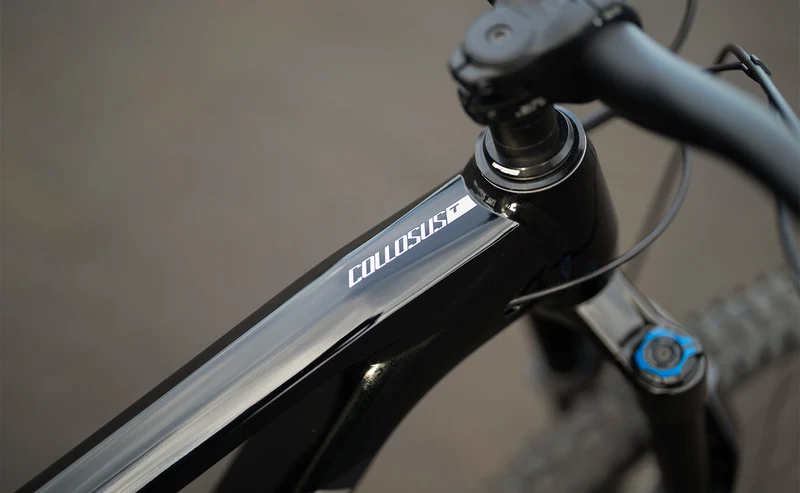 Polygon Collosus T6 – All-Mountain Bike