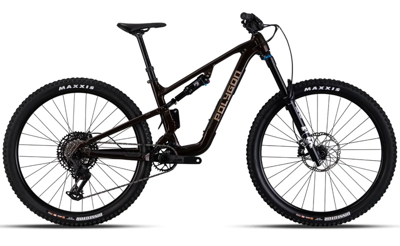 Polygon Collosus T8 – All-Mountain Bike