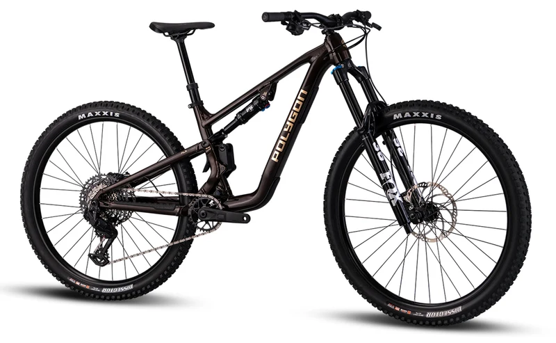 Polygon Collosus T8 – All-Mountain Bike
