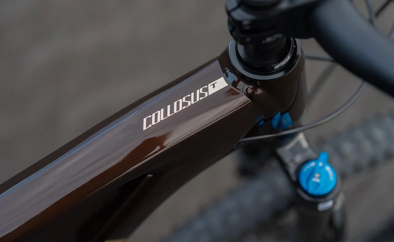 Polygon Collosus T8 – All-Mountain Bike