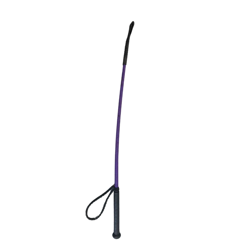 Cravache violette