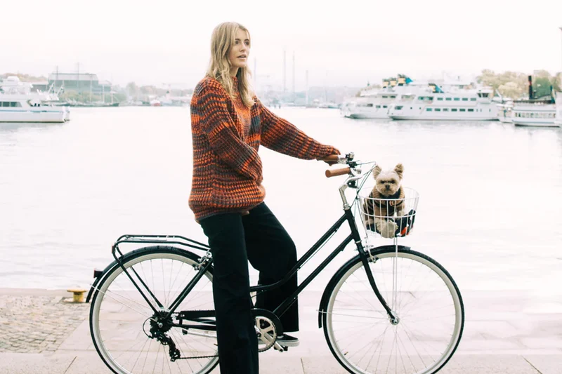 Reid Ladies Lite Classic — Vintage Bike