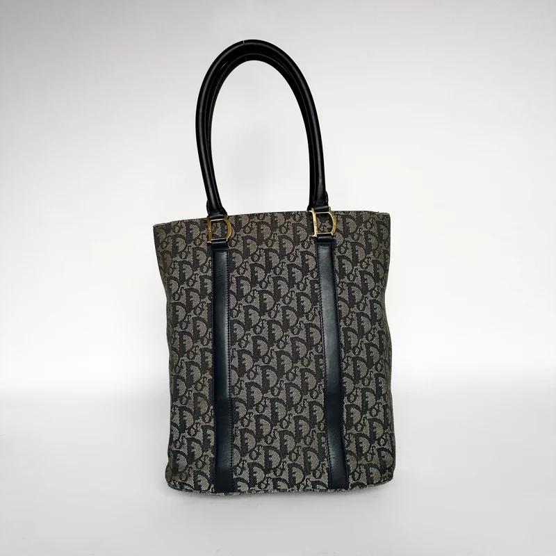 Dior Shopper Toile oblique