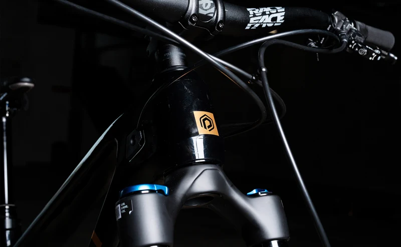 Polygon Collosus N8 Carbon - Enduro Mountain Bike