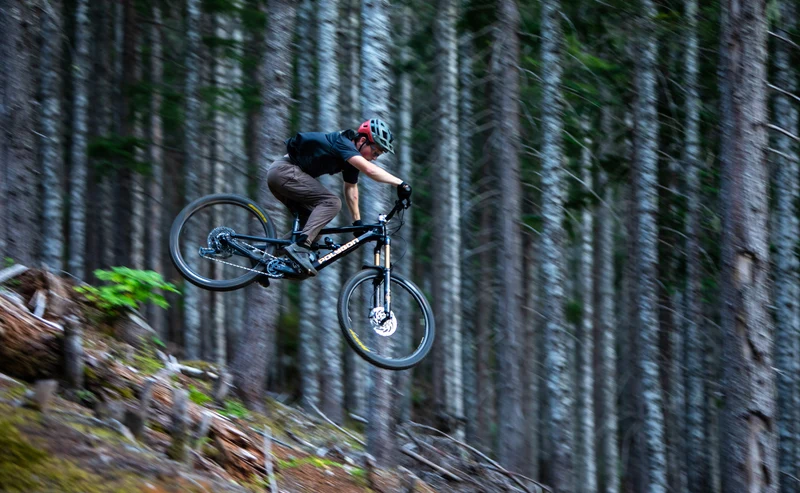Polygon Collosus N8 Carbon - Enduro Mountain Bike