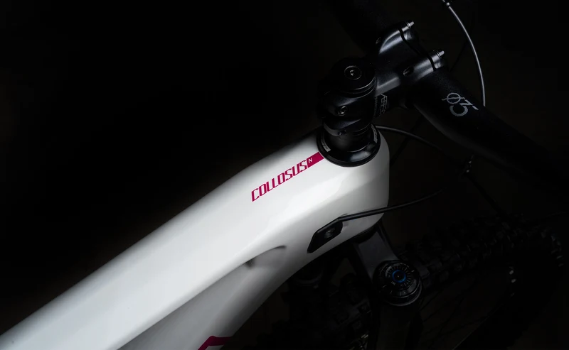 Polygon Collosus N9 Carbon - Enduro Mountain Bike