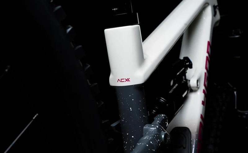 Polygon Collosus N9 Carbon - Enduro Mountain Bike