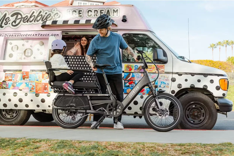 Aventon Abound LR - Full-Size Cargo eBike