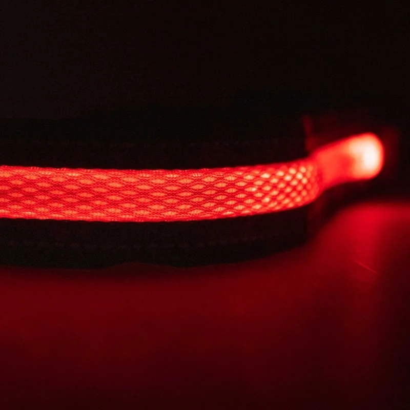 Ceinture LED sécurité rechargeable USB Coolride