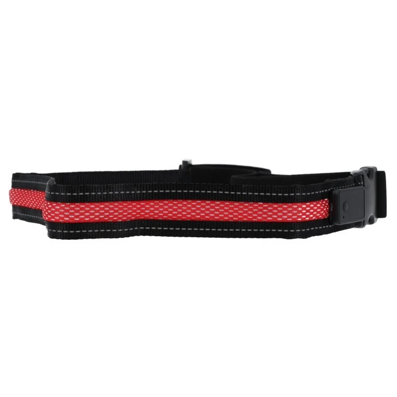 Ceinture LED sécurité rechargeable USB Coolride