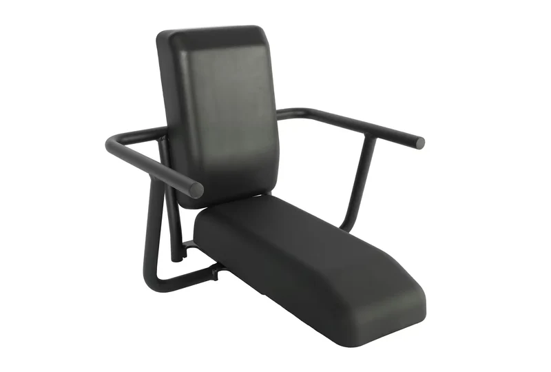 Aventon Passenger Chair - Abound SR / Abound LR