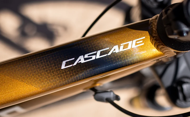 Polygon Cascade 5 - Mountain Bike