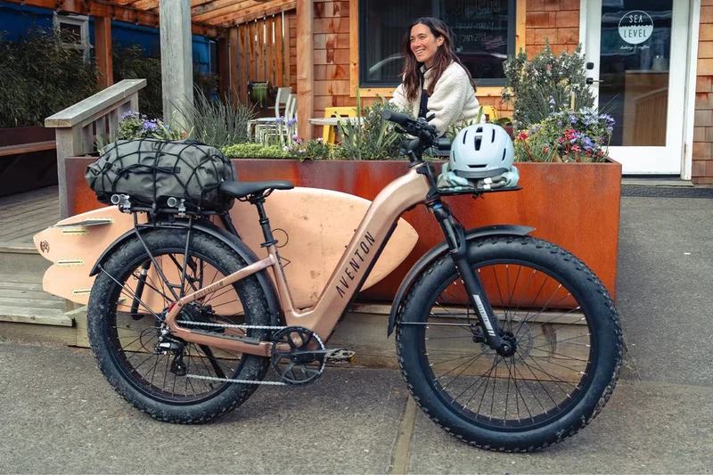 Aventon Aventure 3 ST - Step-Through Off-Road eBike