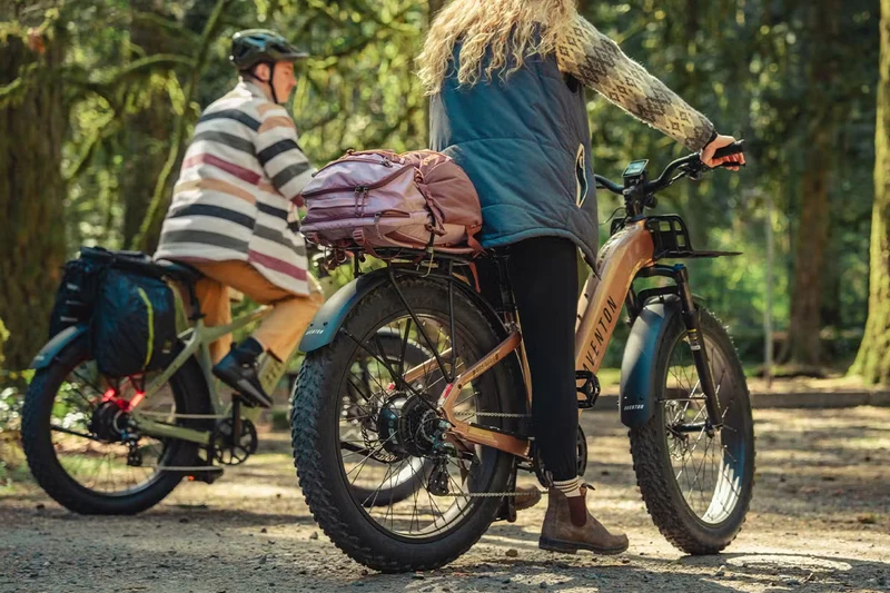 Aventon Aventure 3 ST - Step-Through Off-Road eBike