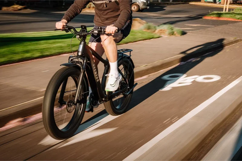Aventon Aventure 3 - Off-Road eBike