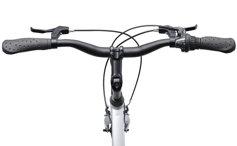 Reid Comfort 1 — Beach Cruiser