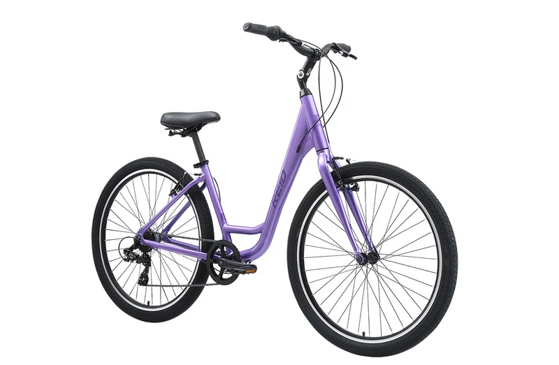 Reid Comfort 1 ST — Beach Cruiser