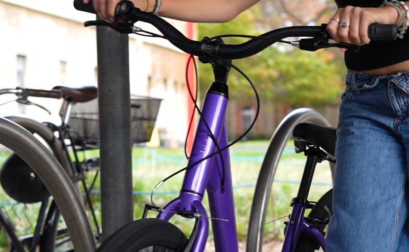 Reid Comfort 1 ST — Beach Cruiser