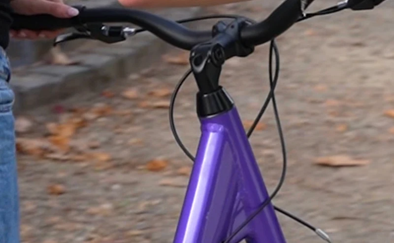 Reid Comfort 1 ST — Beach Cruiser