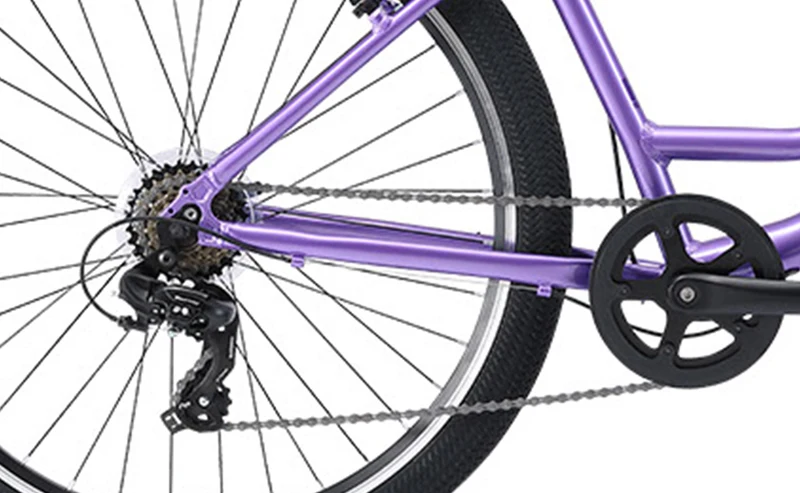 Reid Comfort 1 ST — Beach Cruiser