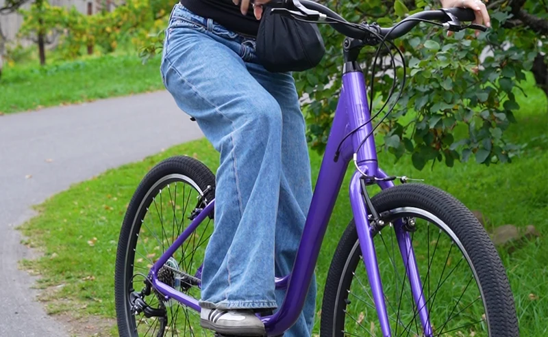 Reid Comfort 1 ST — Beach Cruiser