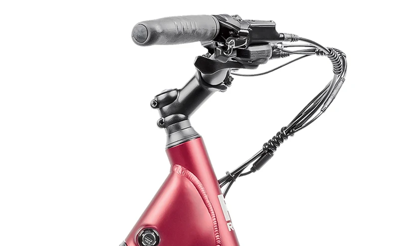 Reid Let's Roll — Commuter eBike