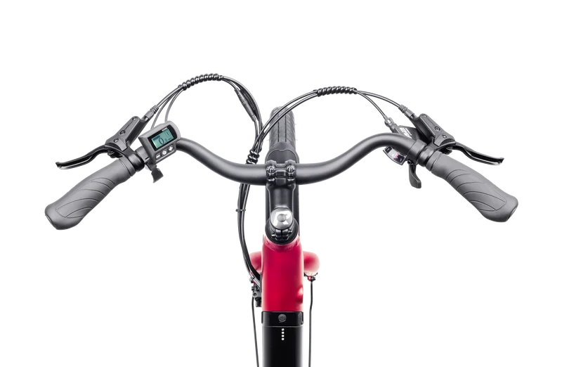 Reid Let's Roll — Commuter eBike