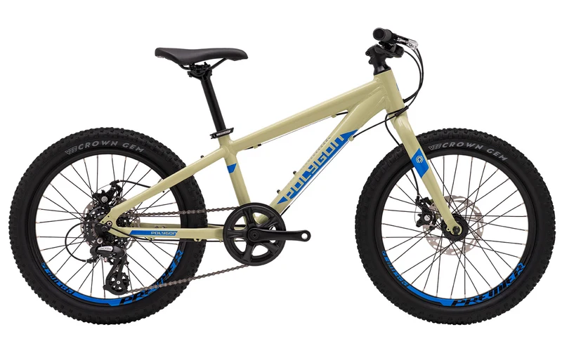 Polygon Premier 20 Disc - Kids Mountain Bike