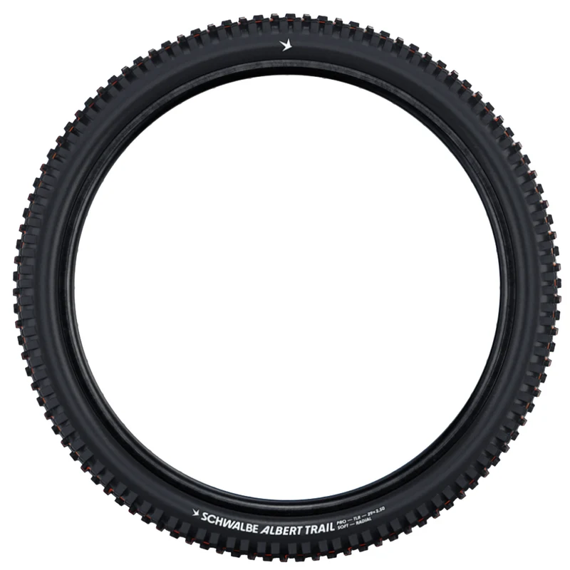 Schwalbe Albert Radial - MTB Tyre