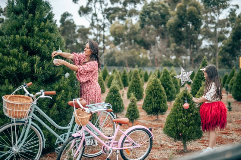Reid Girls Classic 20 — Vintage Kids Bike