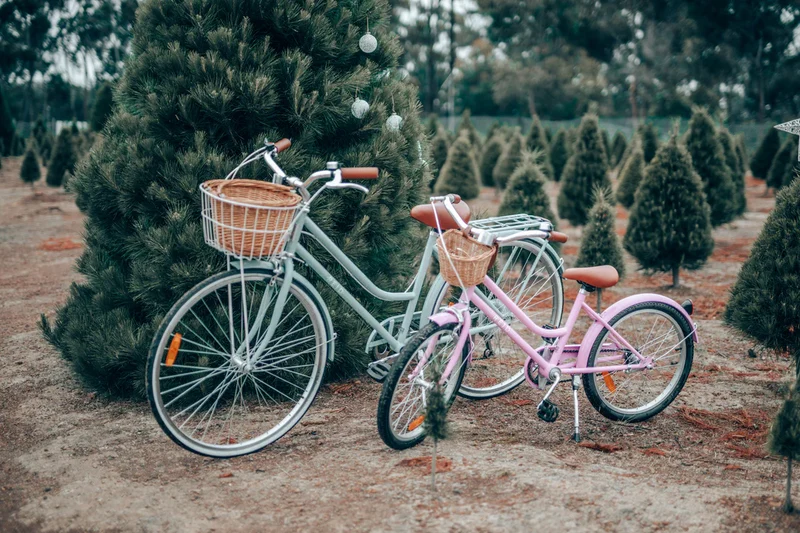Reid Girls Classic 20 — Vintage Kids Bike