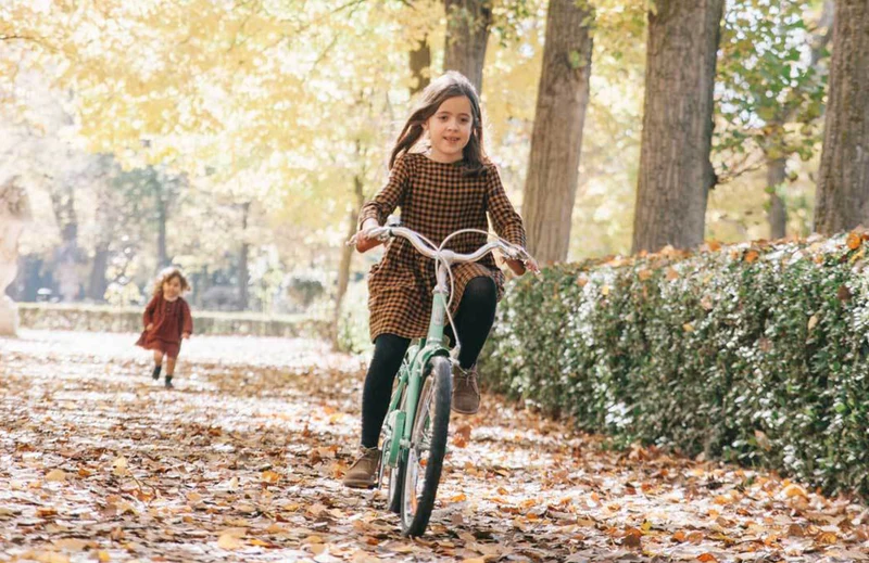Reid Girls Classic 20 — Vintage Kids Bike
