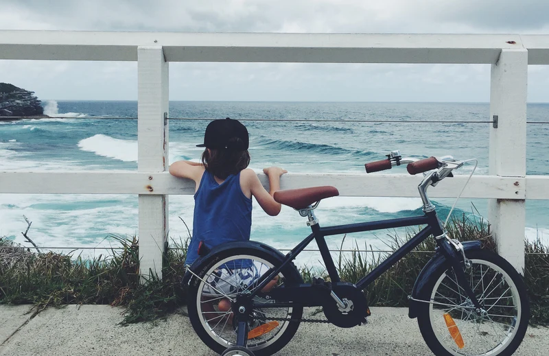 Reid Classic 16 — Vintage Kids Bike