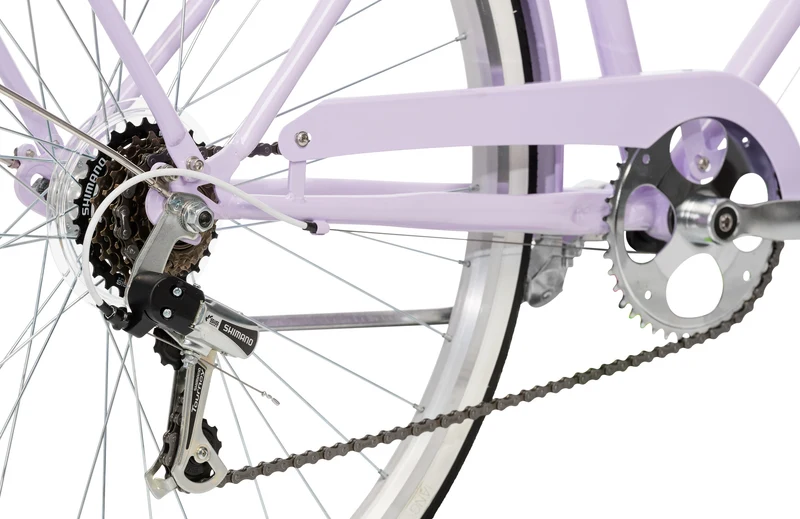 Reid Ladies Petite 24 — Vintage Kids Bike
