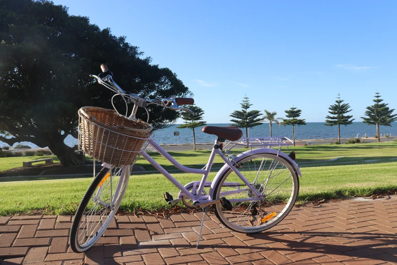 Reid Ladies Petite 24 — Vintage Kids Bike