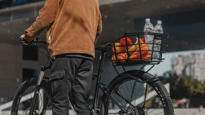 Topeak Urban Basket DX 22L Aluminium