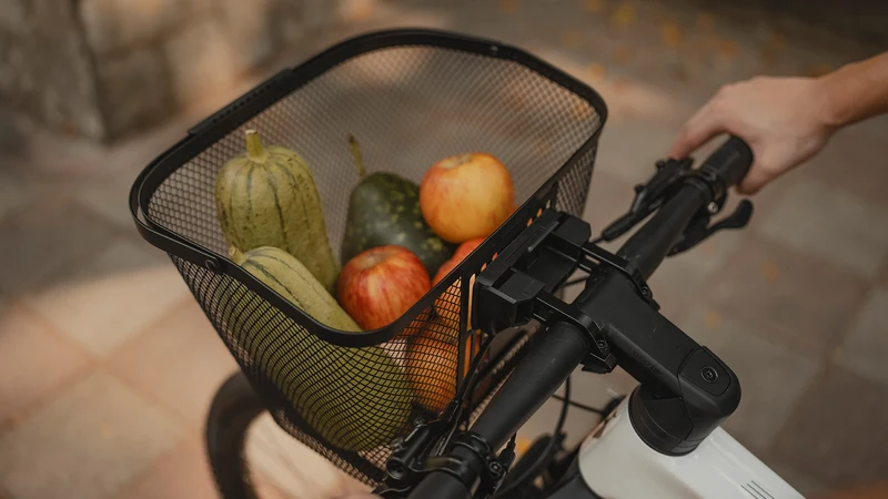 Topeak Urban Basket Front