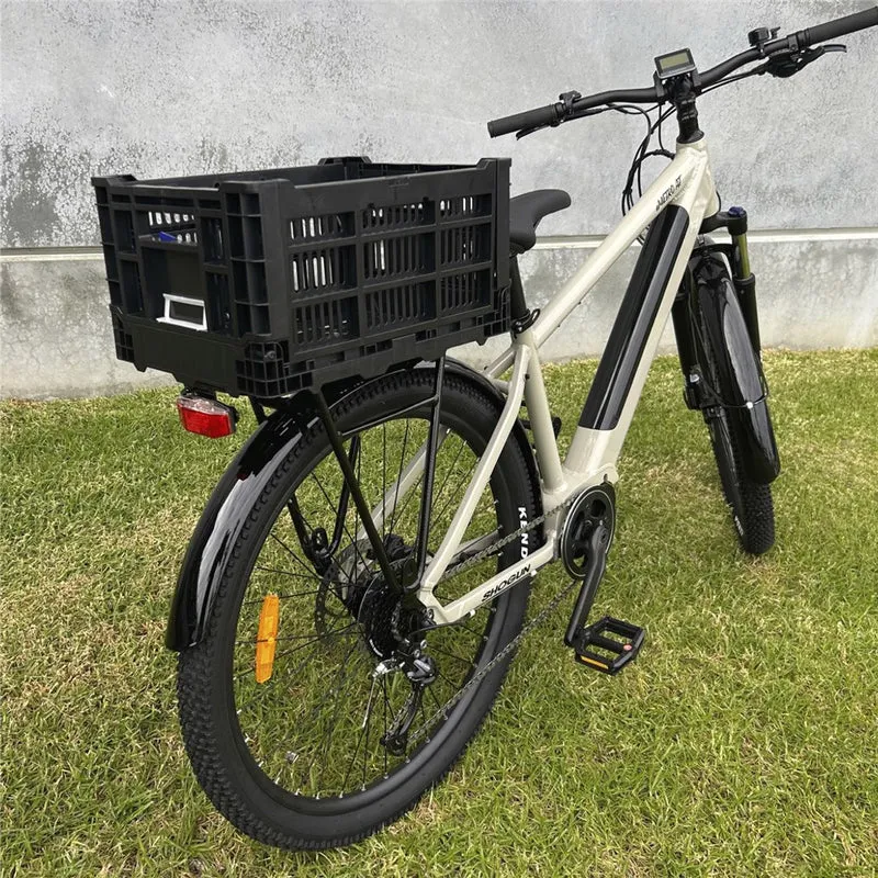 Azur Cargo Basket
