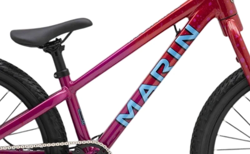 Marin Alcatraz 24 - Kids Dirt Jump Bike