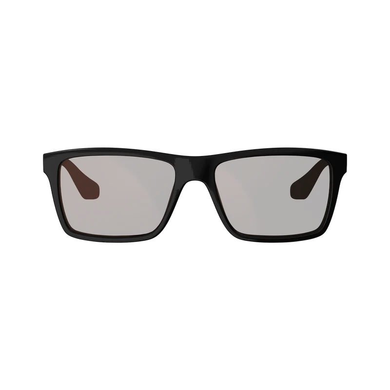 Lunettes LEATT THEVIZ SIERRA Noir/Argent Verre Polarisé Marron/Argent